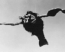 Bats on a string never go out of style.
